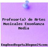 Profesor(a) de Artes Musicales Enseñanza Media