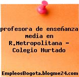 profesora de enseñanza media en R.Metropolitana – Colegio Hurtado