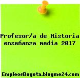 Profesor/a de Historia enseñanza media 2017