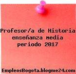 Profesor/a de Historia enseñanza media periodo 2017
