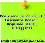 Profesora Jefea de UTP Enseñanza Media – Requínoa (LG B. O’Higgins)