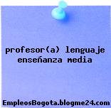 profesor(a) lenguaje enseñanza media