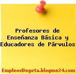 Profesores de Enseñanza Básica y Educadores de Párvulos
