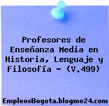 Profesores de Enseñanza Media en Historia, Lenguaje y Filosofía – (V.499)