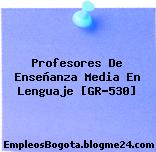 Profesores De Enseñanza Media En Lenguaje [GR-530]