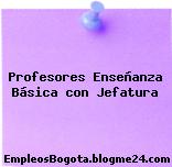 Profesores Enseñanza Básica con Jefatura