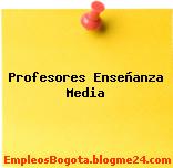 Profesores Enseñanza Media