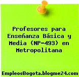 Profesores para Enseñanza Básica y Media (NP-493) en Metropolitana