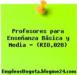 Profesores para Enseñanza Básica y Media – (RIO.028)