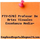 PTV-570] Profesor De Artes Visuales Enseñanza Media…