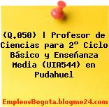 (Q.050) | Profesor de Ciencias para 2° Ciclo Básico y Enseñanza Media (UIA544) en Pudahuel