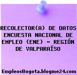 RECOLECTOR(A) DE DATOS ENCUESTA NACIONAL DE EMPLEO (ENE) – REGIÓN DE VALPARAÍSO