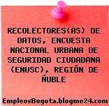 RECOLECTORES(AS) DE DATOS, ENCUESTA NACIONAL URBANA DE SEGURIDAD CIUDADANA (ENUSC), REGIÓN DE ÑUBLE