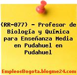(RR-077) – Profesor de Biología y Química para Enseñanza Media en Pudahuel en Pudahuel