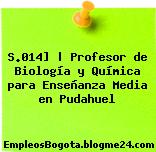S.014] | Profesor de Biología y Química para Enseñanza Media en Pudahuel