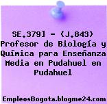 SE.379] – (J.843) Profesor de Biología y Química para Enseñanza Media en Pudahuel en Pudahuel
