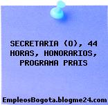 SECRETARIA (O), 44 HORAS, HONORARIOS, PROGRAMA PRAIS