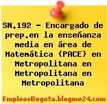 SN.192 – Encargado de prep.en la enseñanza media en área de Matemática (PACE) en Metropolitana en Metropolitana en Metropolitana