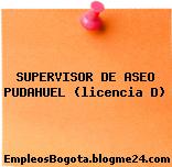 SUPERVISOR DE ASEO PUDAHUEL (licencia D)