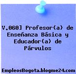 V.060] Profesor(a) de Enseñanza Básica y Educador(a) de Párvulos