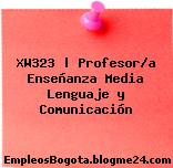 XW323 | Profesor/a Enseñanza Media Lenguaje y Comunicación
