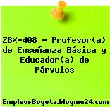 ZBX-408 – Profesor(a) de Enseñanza Básica y Educador(a) de Párvulos