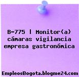 B-775 | Monitor(a) cámaras vigilancia empresa gastronómica