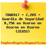 (BQ691) – Z.265 – Guardia de Seguridad R.756 en Osorno en Osorno en Osorno (ZE652)