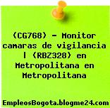 (CG768) – Monitor camaras de vigilancia | (RBZ328) en Metropolitana en Metropolitana