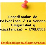 Coordinador de Polvorines / La Serena (Seguridad y vigilancia) – [YOL058]