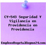 CY-543 Seguridad Y Vigilancia en Providencia en Providencia