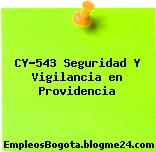 CY-543 Seguridad Y Vigilancia en Providencia