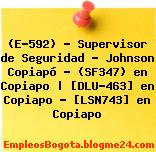 (E-592) – Supervisor de Seguridad – Johnson Copiapó – (SF347) en Copiapo | [DLU-463] en Copiapo – [LSN743] en Copiapo