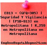 E813 – (GFQ-305) | Seguridad Y Vigilancia | [PSB-913] en Metropolitana | R.259 en Metropolitana en Metropolitana