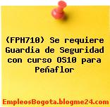 (FPH710) Se requiere Guardia de Seguridad con curso OS10 para Peñaflor