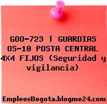 GOO-723 | GUARDIAS OS-10 POSTA CENTRAL 4X4 FIJOS (Seguridad y vigilancia)