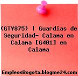 (GTY875) | Guardias de Seguridad- Calama en Calama [G401] en Calama