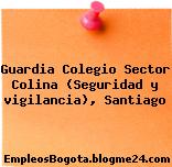 Guardia Colegio Sector Colina (Seguridad y vigilancia), Santiago