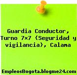 Guardia Conductor, Turno 7×7 (Seguridad y vigilancia), Calama