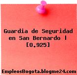 Guardia de Seguridad en San Bernardo | [O.925]