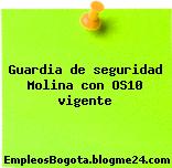 Guardia de seguridad Molina con OS10 vigente