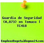 Guardia de Seguridad (W.873) en Temuco | TC418