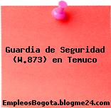 Guardia de Seguridad (W.873) en Temuco
