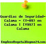 Guardias de Seguridad- Calama – (V-09) en Calama | [Y997] en Calama