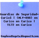 Guardias de Seguridad- Curicó | (MLY-898) en Curico en Curico | V172 en Curico
