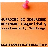 GUARDIAS DE SEGURIDAD DOMINGOS (Seguridad y vigilancia), Santiago
