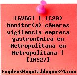 (GV66) | (C29) Monitor(a) cámaras vigilancia empresa gastronómica en Metropolitana en Metropolitana | [IR327]