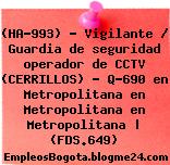 (HA-993) – Vigilante / Guardia de seguridad operador de CCTV (CERRILLOS) – Q-690 en Metropolitana en Metropolitana en Metropolitana | (FDS.649)