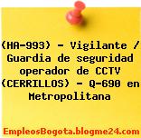 (HA-993) – Vigilante / Guardia de seguridad operador de CCTV (CERRILLOS) – Q-690 en Metropolitana