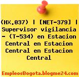 (HX.037) | [NET-379] | Supervisor vigilancia – (T-534) en Estacion Central en Estacion Central en Estacion Central